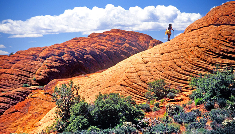 Mzii-zion-snowcanyon-multisport